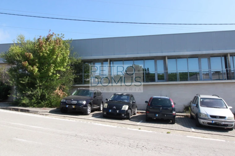 Armazém para Arrendamento em Santa Catarina da Serra e Chainça Foto 1