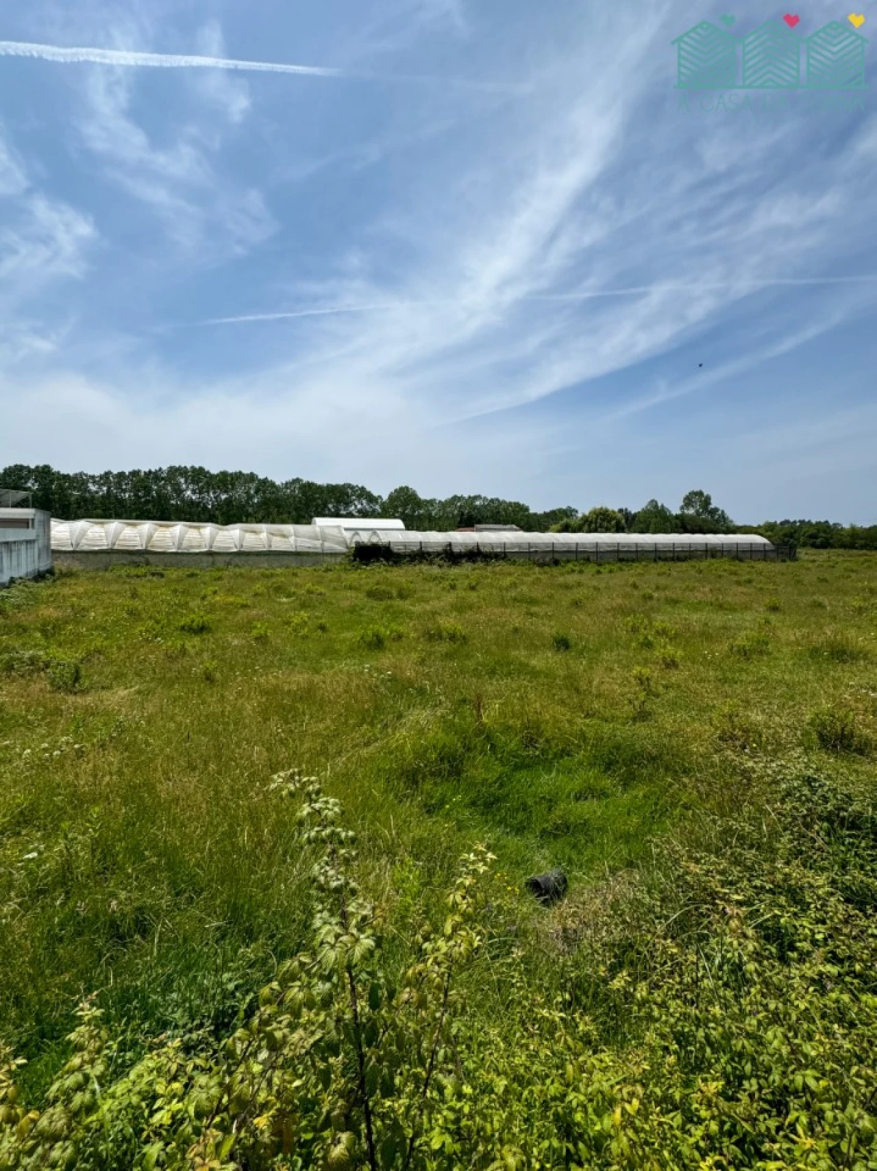 Terreno para Venda em Vagos e Santo António Foto 3