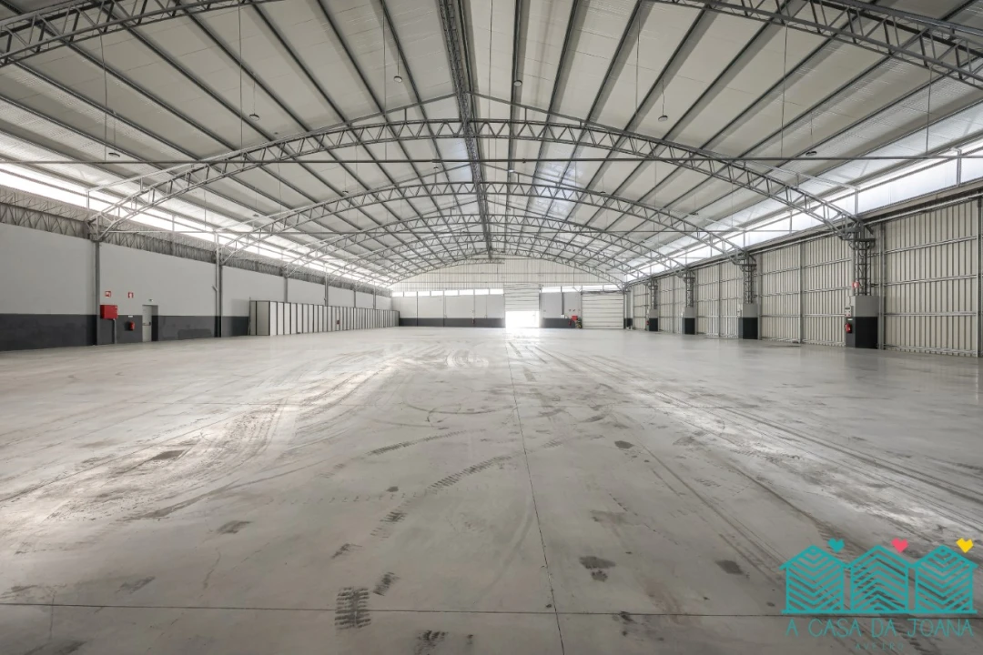 Armazém para Arrendamento em Oliveira do Bairro Foto 8