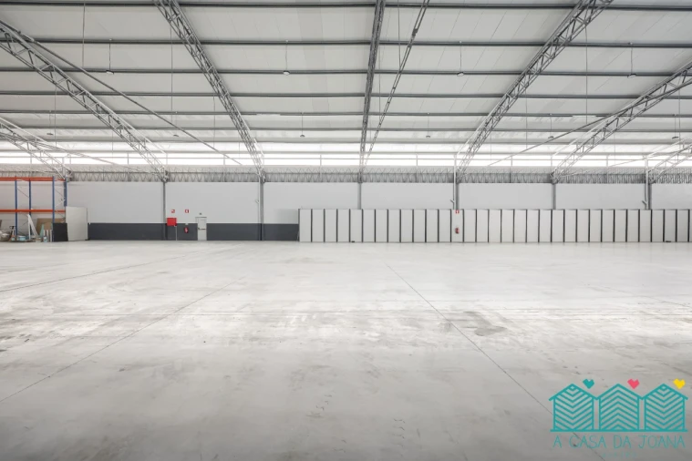 Armazém para Arrendamento em Oliveira do Bairro Foto 4