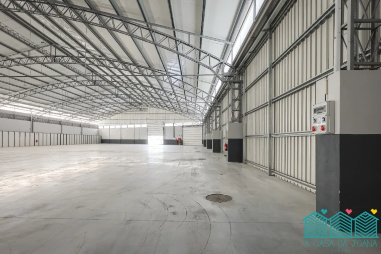 Armazém para Arrendamento em Oliveira do Bairro Foto 10