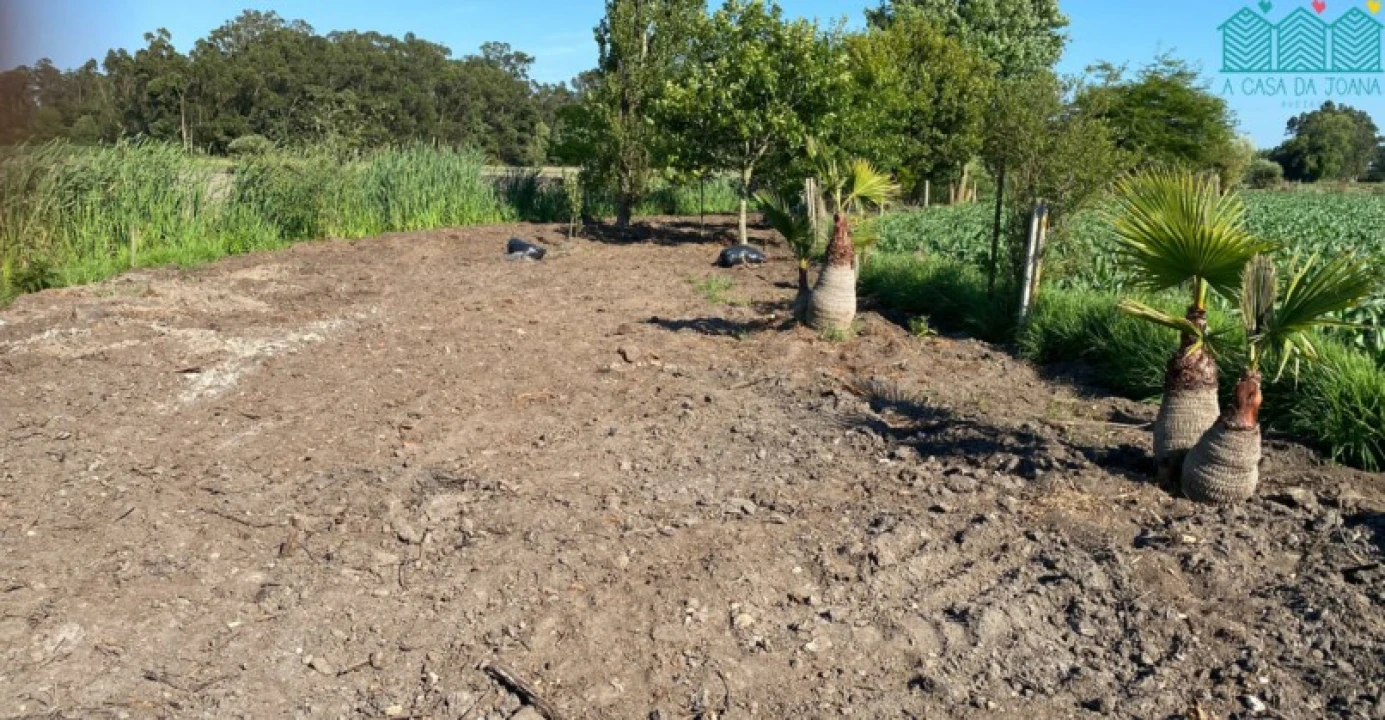 Terreno para Venda em Bunheiro Foto 2