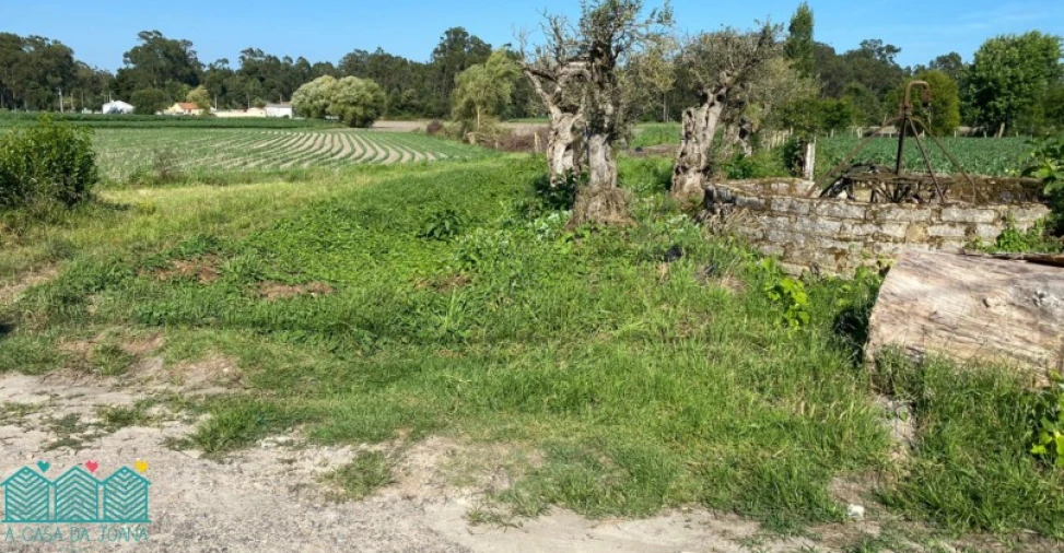 Terreno para Venda em Bunheiro Foto 1