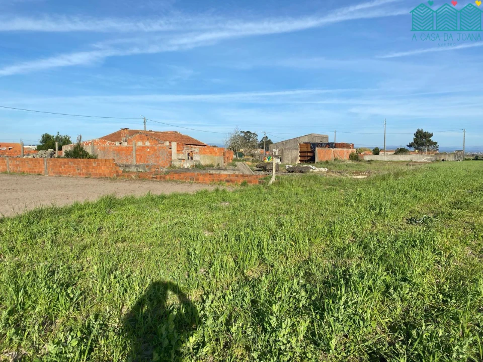 Quinta T2 para Venda em Ovar, São João, Arada e São Vicente de Pereira Jusã Foto 5