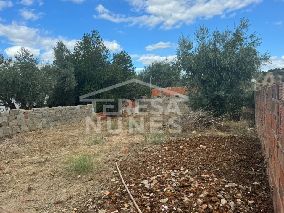 Terreno para Venda em Torrão Foto 4