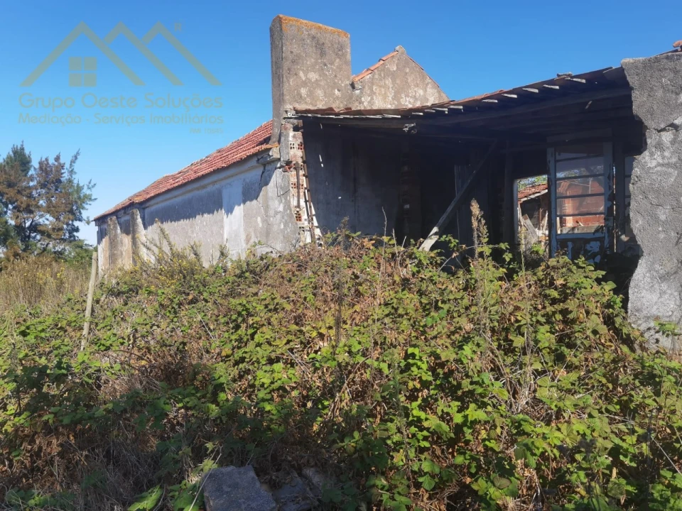 Terreno para Venda em Bombarral e Vale Covo Foto 5