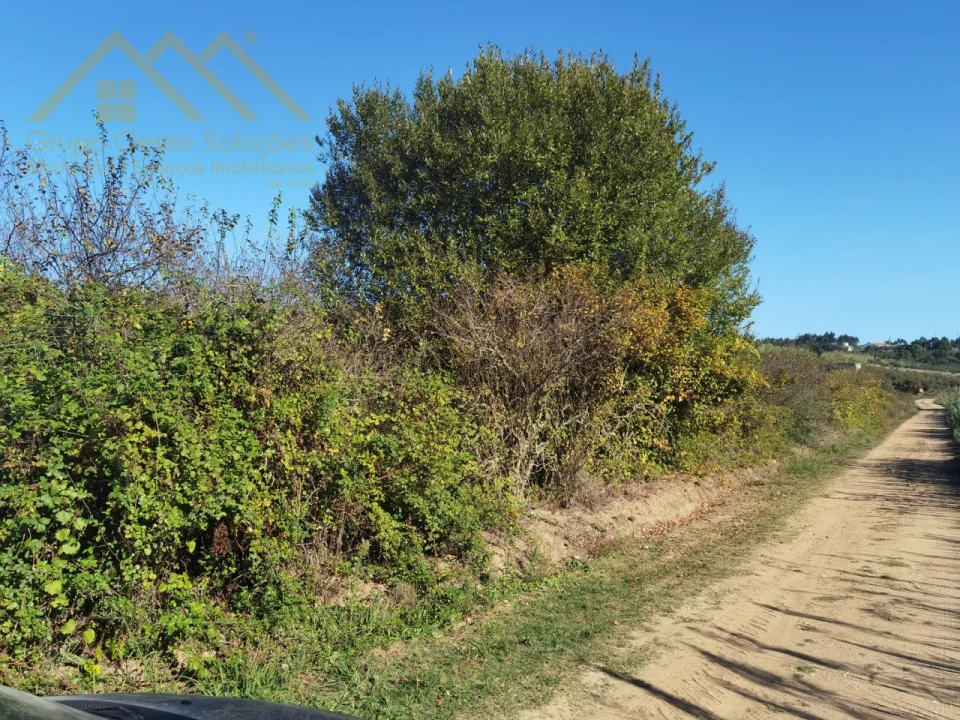 Terreno para Venda em Bombarral e Vale Covo Foto 9