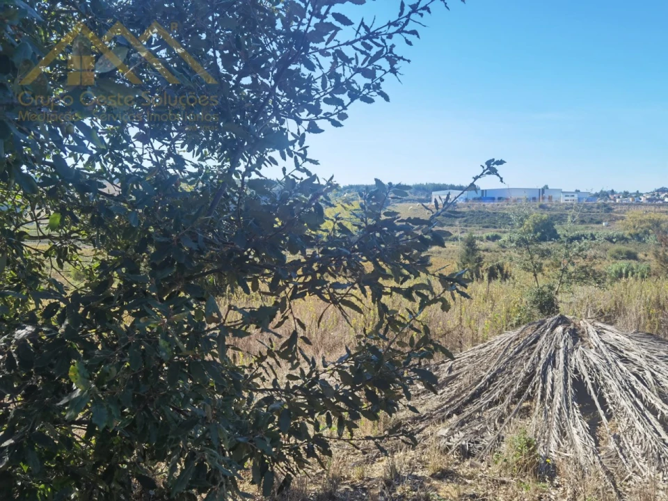 Terreno para Venda em Bombarral e Vale Covo Foto 10