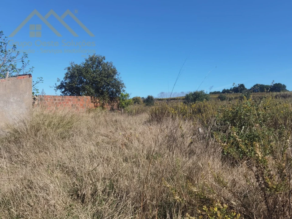 Terreno para Venda em Bombarral e Vale Covo Foto 2