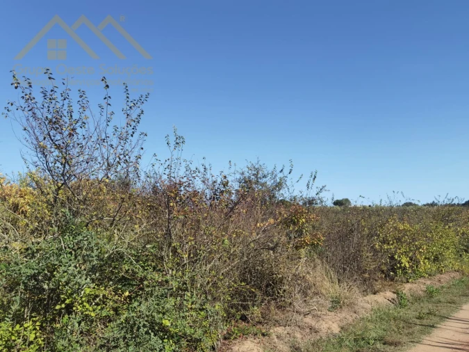 Terreno para Venda em Bombarral e Vale Covo Foto 11
