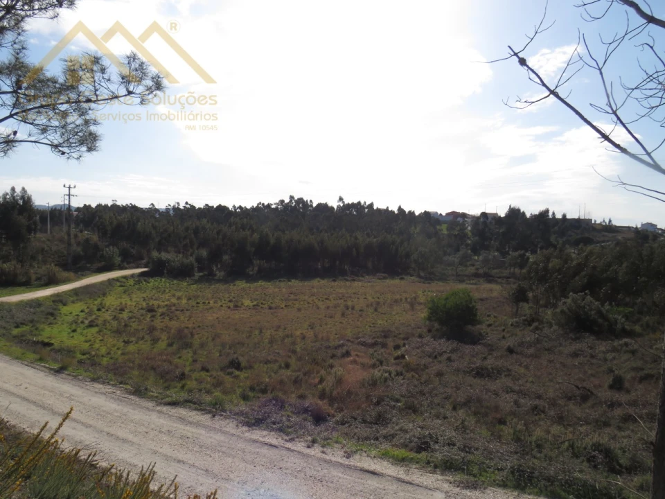 Terreno Agricola ou Rústico para Venda em Ramalhal Foto 1
