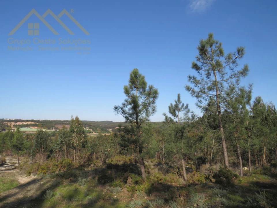 Terreno Agricola ou Rústico para Venda em Ramalhal Foto 1