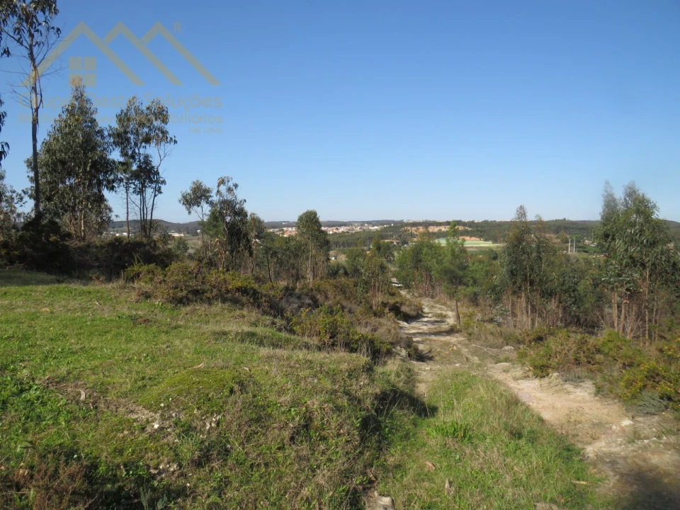 Terreno Agricola ou Rústico para Venda em Ramalhal Foto 2