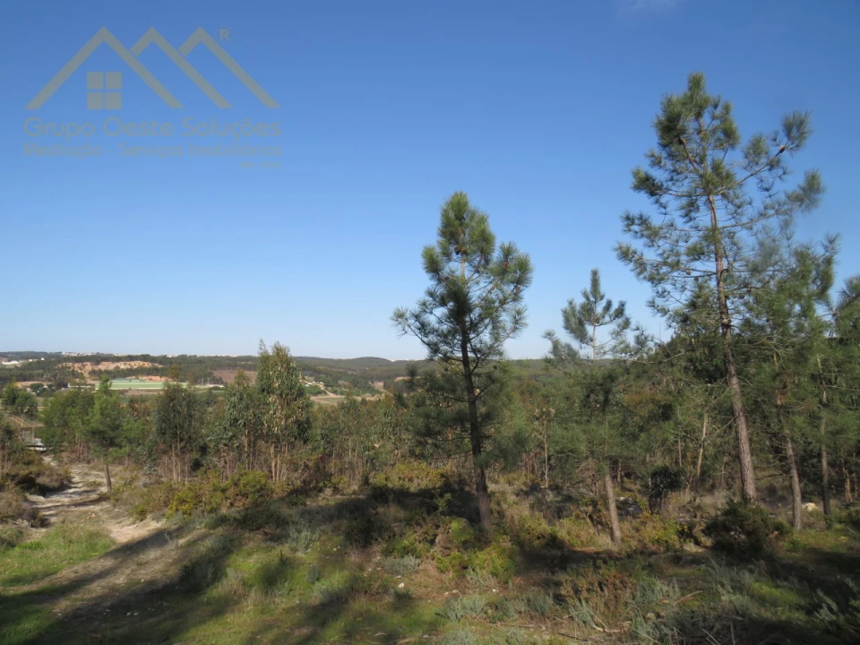 Terreno Agricola ou Rústico para Venda em Ramalhal Foto 4