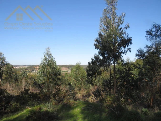 Terreno Agricola ou Rústico para Venda em Ramalhal Foto 5