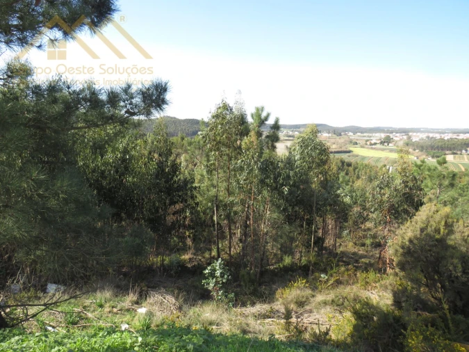 Terreno Agricola ou Rústico para Venda em Ramalhal Foto 9