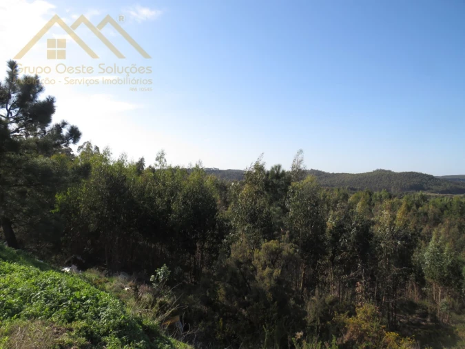 Terreno Agricola ou Rústico para Venda em Ramalhal Foto 10