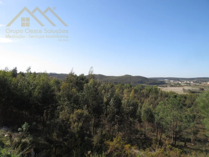 Terreno Agricola ou Rústico para Venda em Ramalhal Foto 12