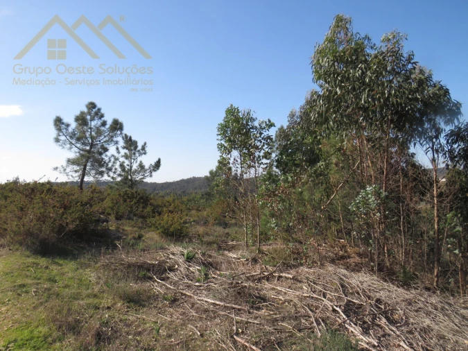 Terreno Agricola ou Rústico para Venda em Ramalhal Foto 13