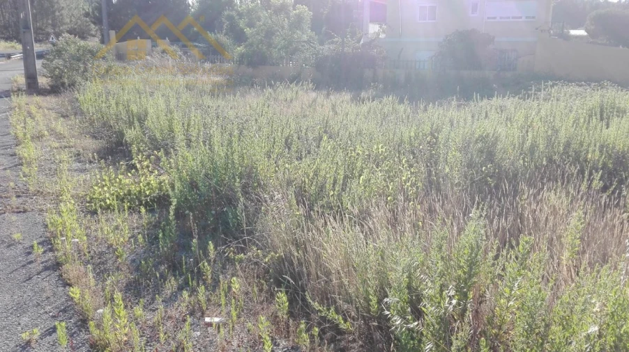 Terreno para Venda em Ramalhal Foto 5