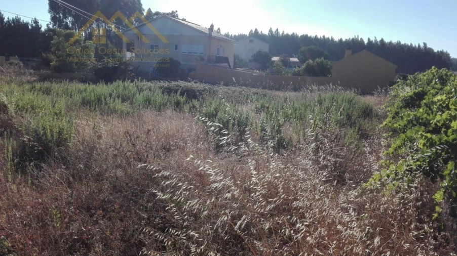 Terreno para Venda em Ramalhal