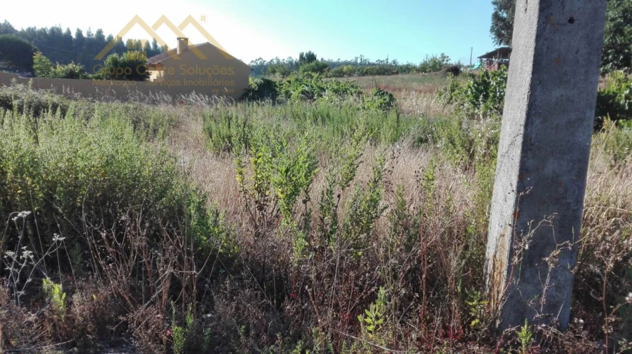 Terreno para Venda em Ramalhal Foto 2