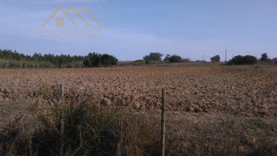 Terreno para Venda em Moita dos Ferreiros