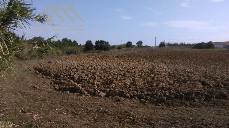 Terreno para Venda em Moita dos Ferreiros Foto 2