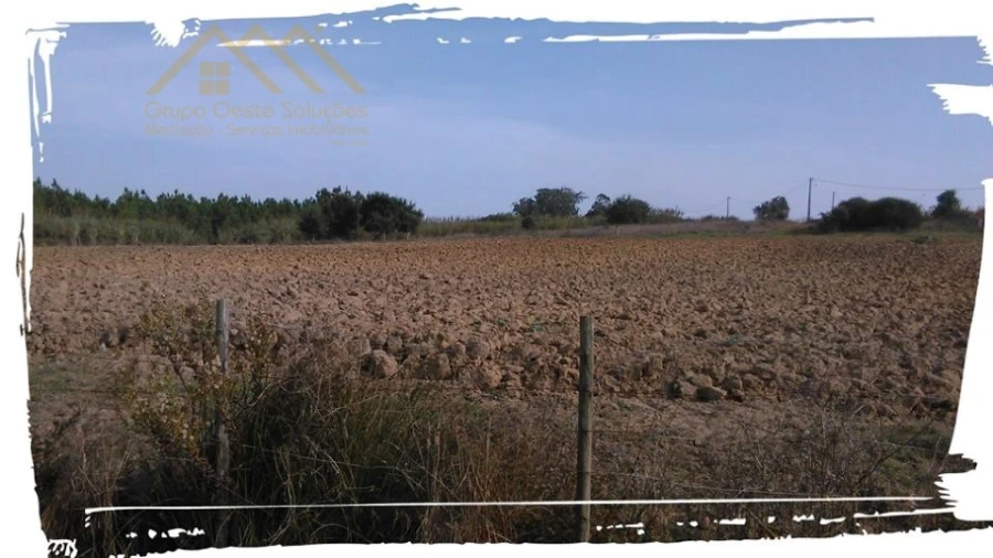 Terreno para Venda em Moita dos Ferreiros Foto 3