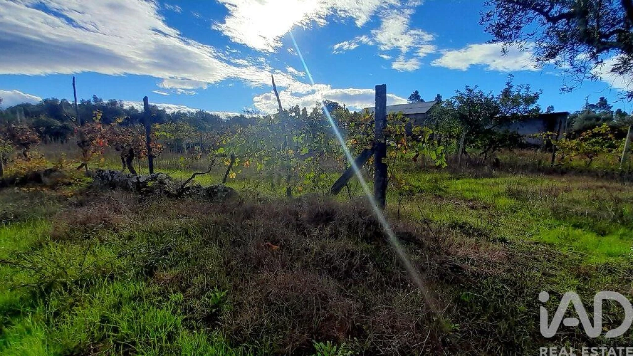 Terreno para Venda em Seixo da Beira Foto 13