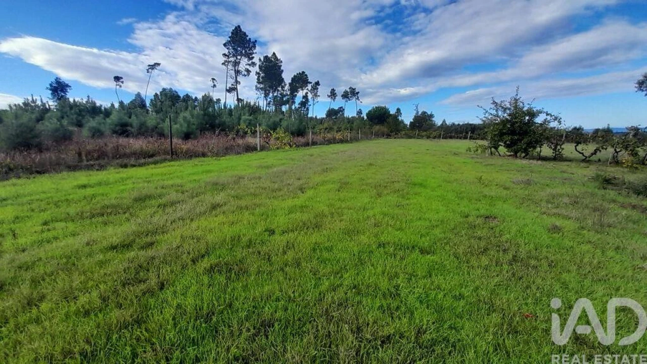 Terreno para Venda em Seixo da Beira Foto 26