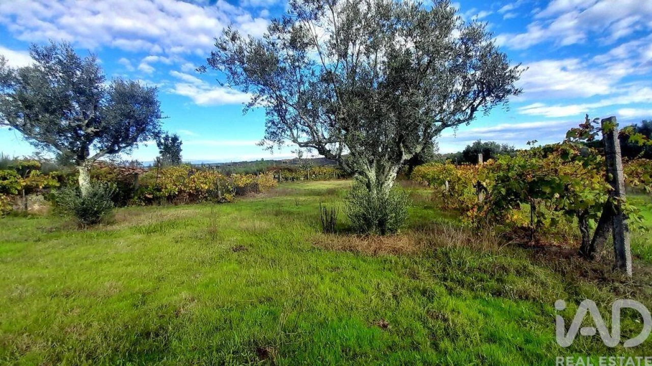 Terreno para Venda em Seixo da Beira Foto 2