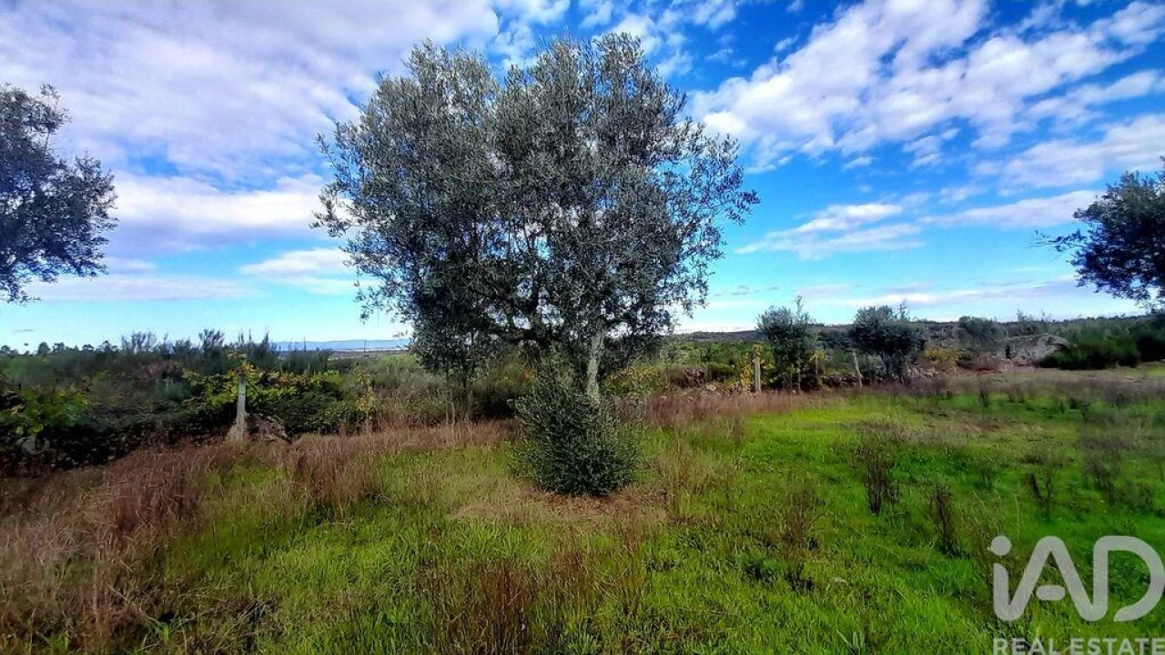 Terreno para Venda em Seixo da Beira Foto 27