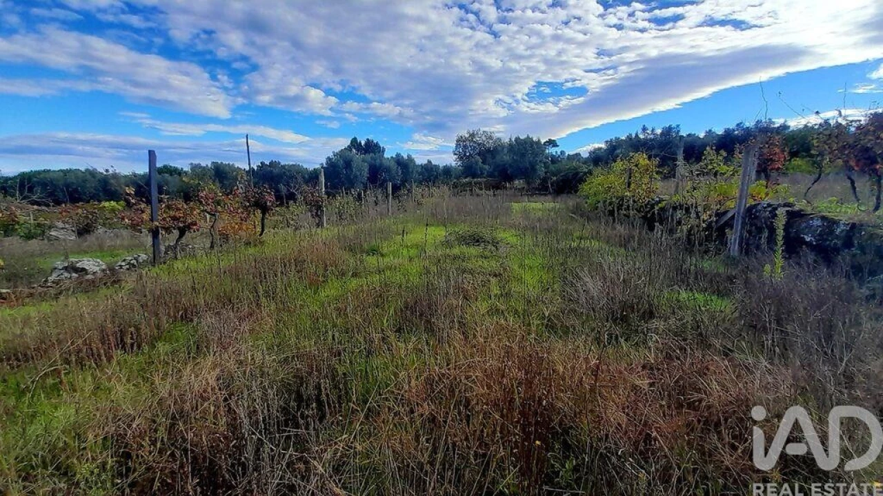 Terreno para Venda em Seixo da Beira Foto 4