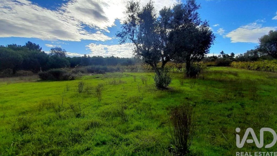 Terreno para Venda em Seixo da Beira Foto 16