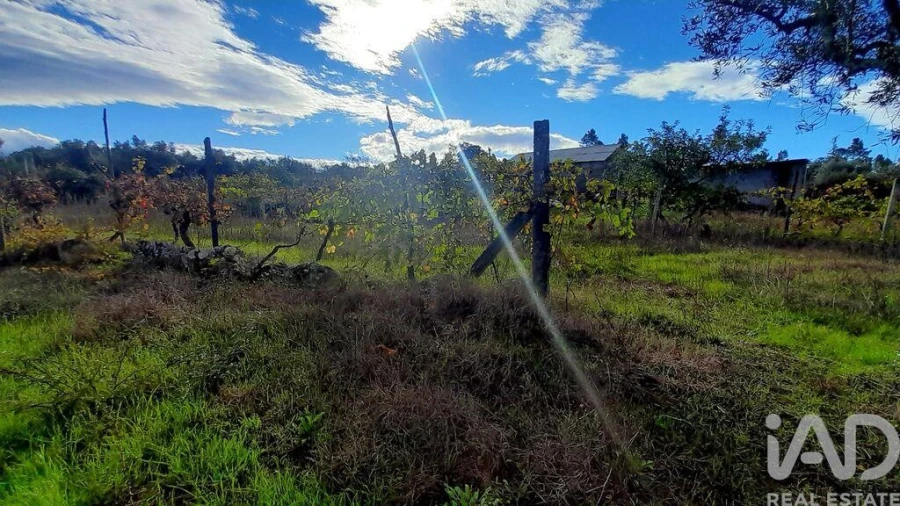 Terreno para Venda em Seixo da Beira Foto 12
