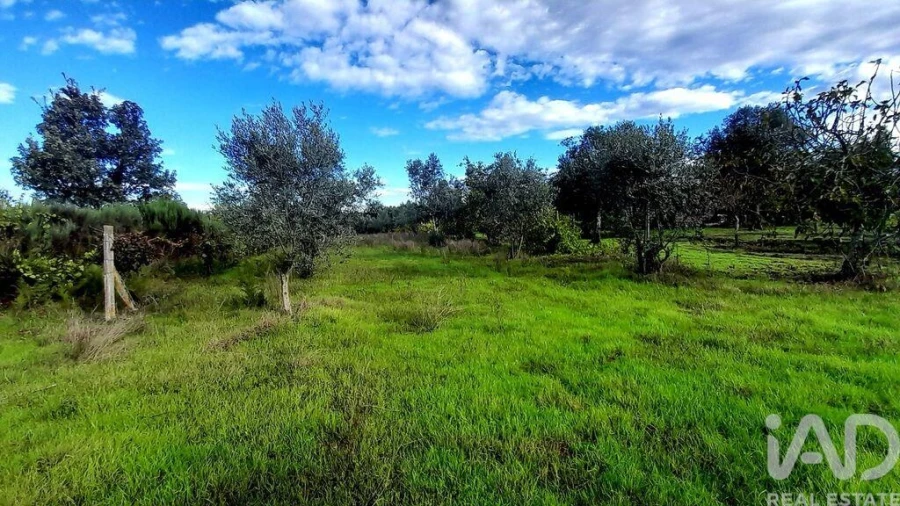 Terreno para Venda em Seixo da Beira Foto 15