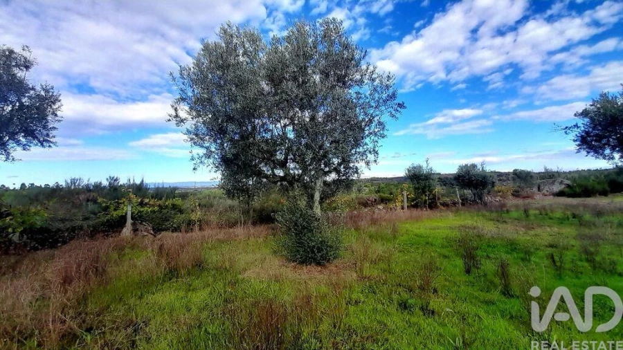 Terreno para Venda em Seixo da Beira Foto 27