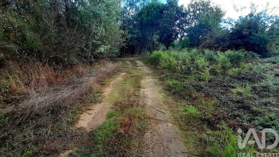 Terreno para Venda em Seixo da Beira Foto 6