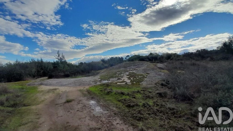 Terreno para Venda em Seixo da Beira Foto 24