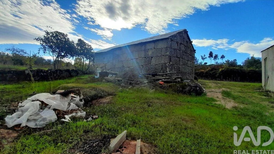 Terreno para Venda em Seixo da Beira Foto 5