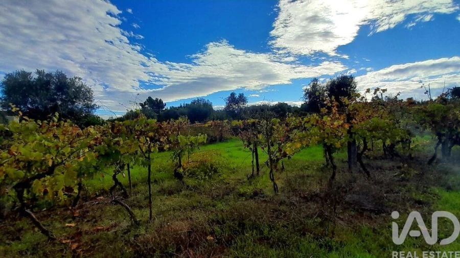 Terreno para Venda em Seixo da Beira Foto 10