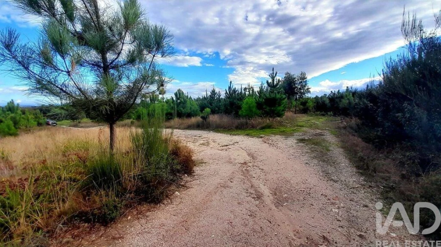 Terreno para Venda em Seixo da Beira Foto 8