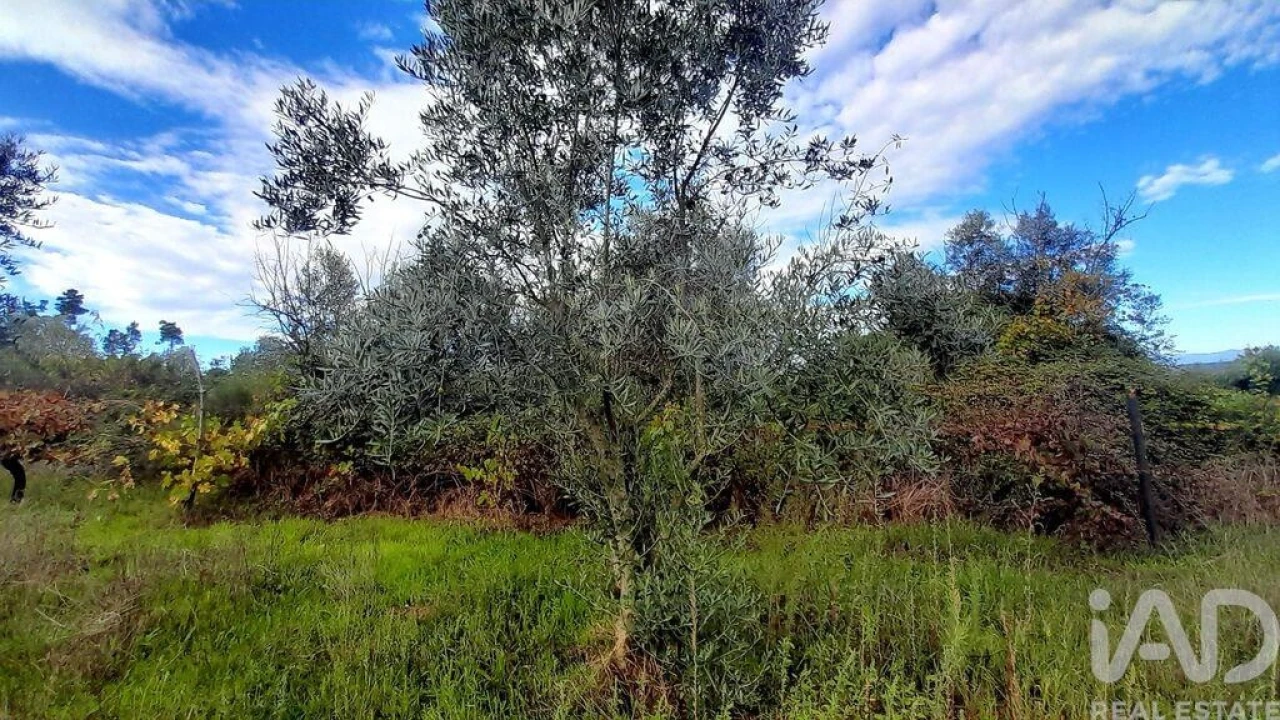 Terreno para Venda em Seixo da Beira Foto 25