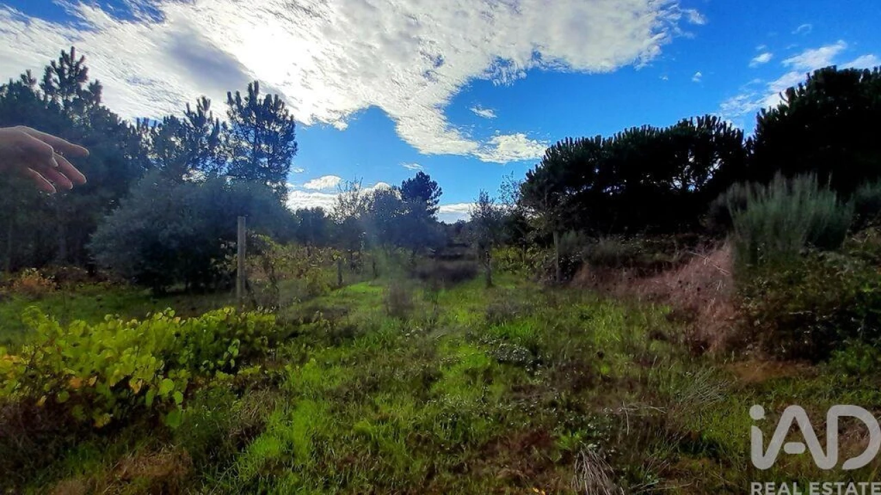 Terreno para Venda em Seixo da Beira Foto 7