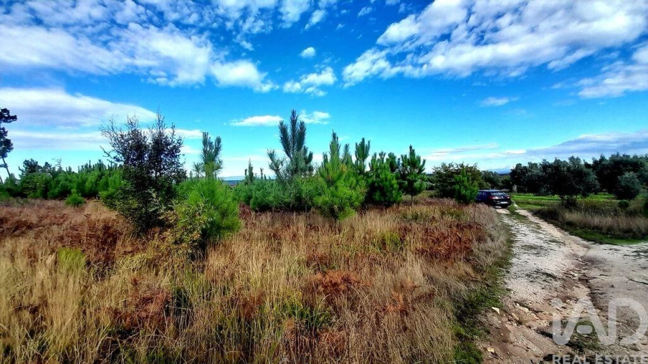 Terreno para Venda em Seixo da Beira Foto 18