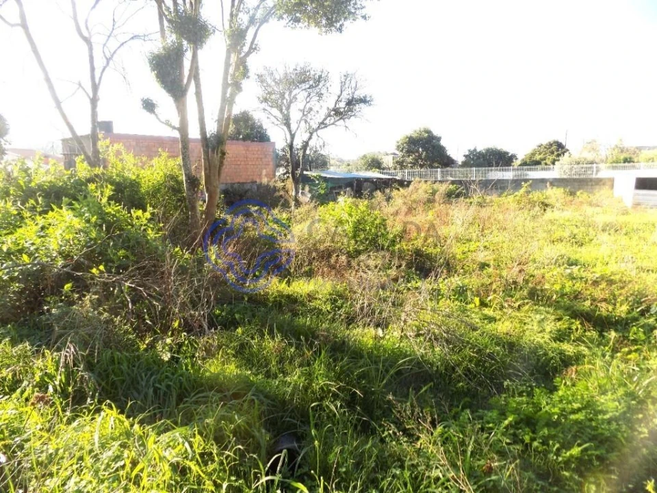 Terreno para Venda em Nogueira da Regedoura Foto 4