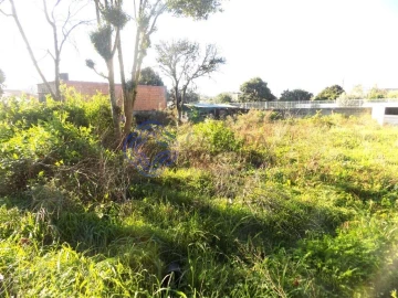 Terreno para Venda em Nogueira da Regedoura