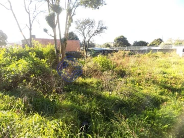 Terreno para Venda em Nogueira da Regedoura