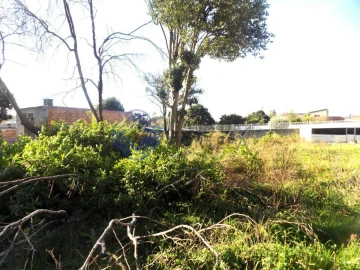 Terreno para Venda em Nogueira da Regedoura